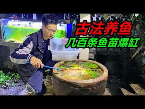 空魚缸利用|【空魚缸利用】空魚缸妙利用，打造居家實用新天地